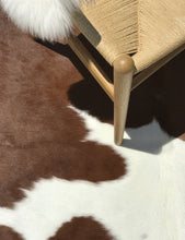 Brown & White Cowhide Rug